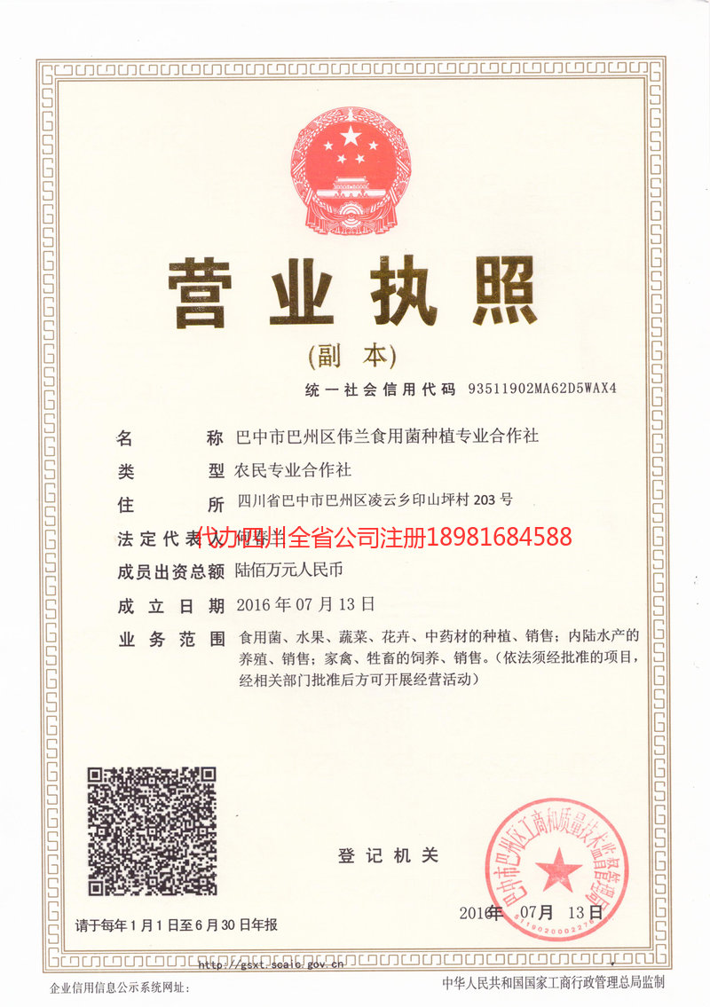 龙泉龙泉伟兰食用菌种植专业合作社